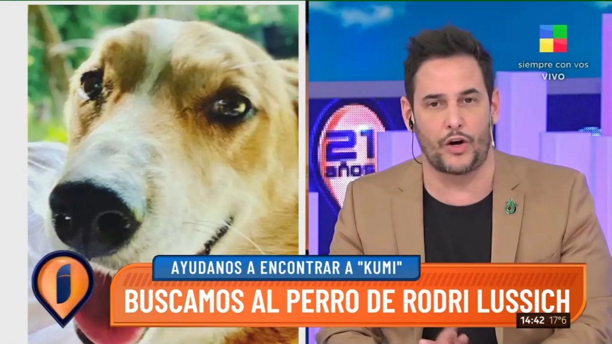 Rodrigo Lussich pidió ayuda para encontrar a su perro.