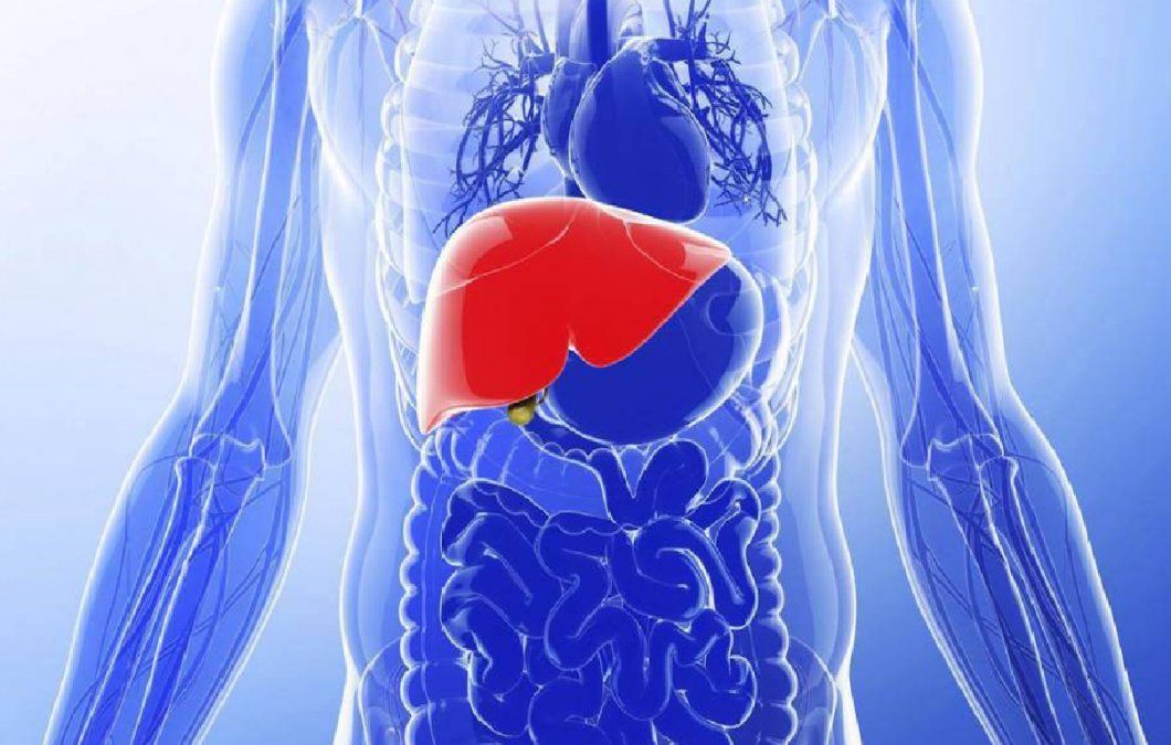 Plantas medicinales para cuidar el hígado