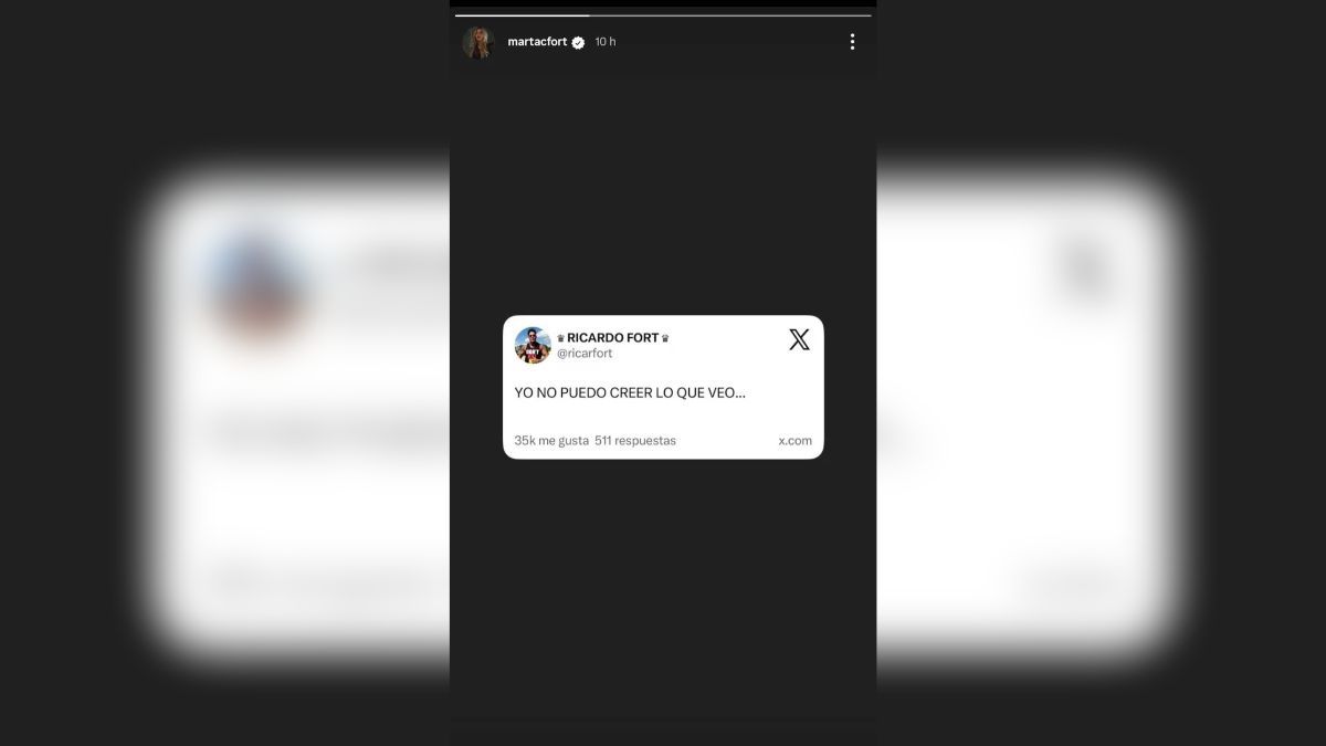 A trav&eacute;s de sus historias de Instagram, Martita Fort apunt&oacute; indirectamente contra Virginia Gallardo, expareja de Ricardo.