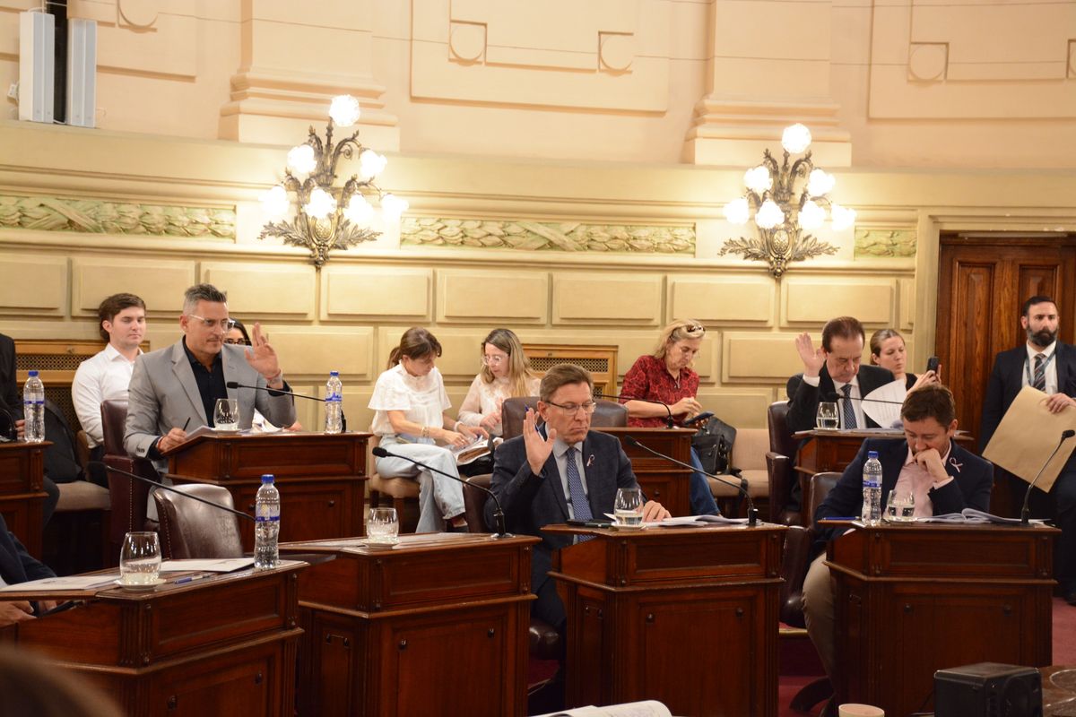 A las 13 habrá Asamblea Legislativa con el objeto de expedirse sobre la renuncia de la vicegobernadora Gisela Scaglia. Luego, a las 15, fue convocada a sesión extraordinaria de la Cámara alta.