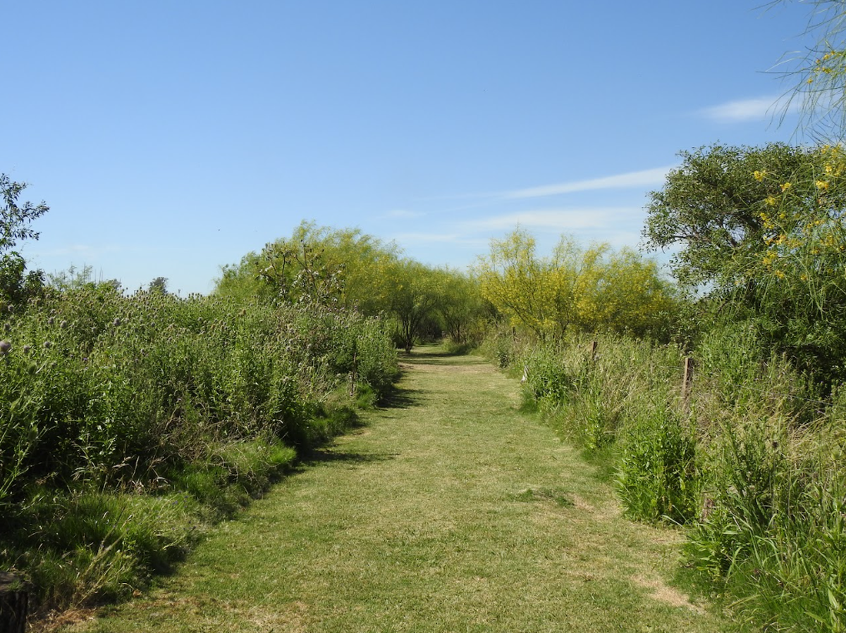 Reserva Natural tiene un total de 142 hectáreas, del cual se encuentra dividido en diferentes reservorios, que se encuentran en óptimos funcionamientos para su recorrido. (Cortesía de Eduardo Beltrocco) Reserva Natural tiene un total de 142 hectáreas, del cual se encuentra dividido en diferentes reservorios, que se encuentran en óptimos funcionamientos para su recorrido. (Cortesía de Eduardo Beltrocco)