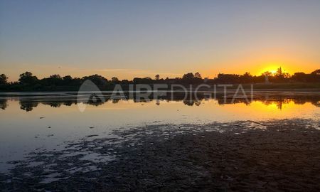El agua no les llega a las plumas a las garzas en la laguna Bedetti. El agua no les llega a las plumas a las garzas en la laguna Bedetti.