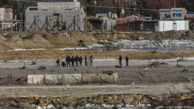 Chubut: Perros salvajes destrozan y comen a un hombre