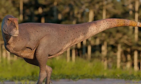 Investigadores y paleontólogos identificaron una nueva especie de dinosaurio carnívoro. Investigadores y paleontólogos identificaron una nueva especie de dinosaurio carnívoro.