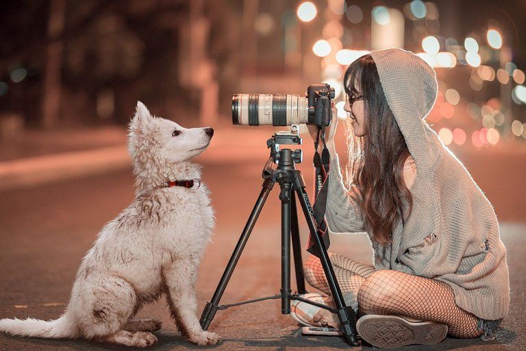 perros 1.jpg