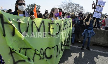 convocan a una travesia por los humedales desde rosario hasta buenos aires convocan a una travesia por los humedales desde rosario hasta buenos aires