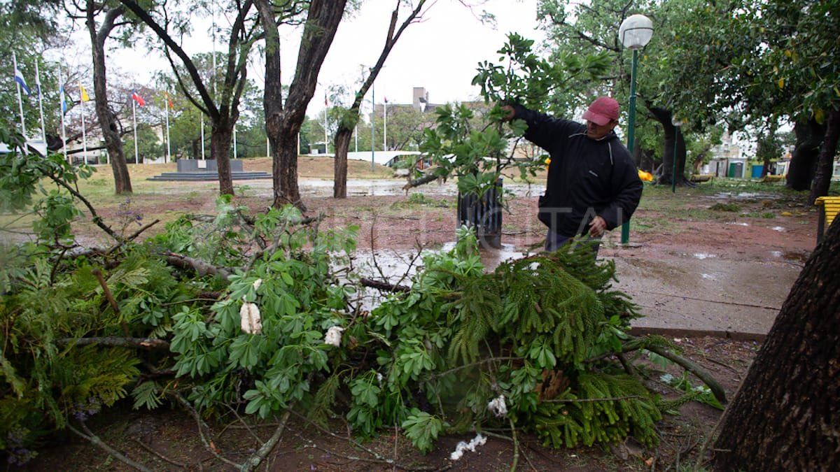 Tras la tormenta, en la Plaza de las Banderas cayeron ramas pero no árboles enteros.