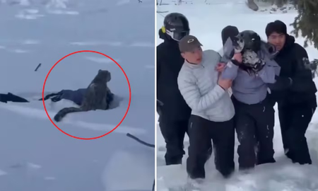 Se quiso sacar una selfie con un leopardo y terminó entre sus garras Se quiso sacar una selfie con un leopardo y terminó entre sus garras