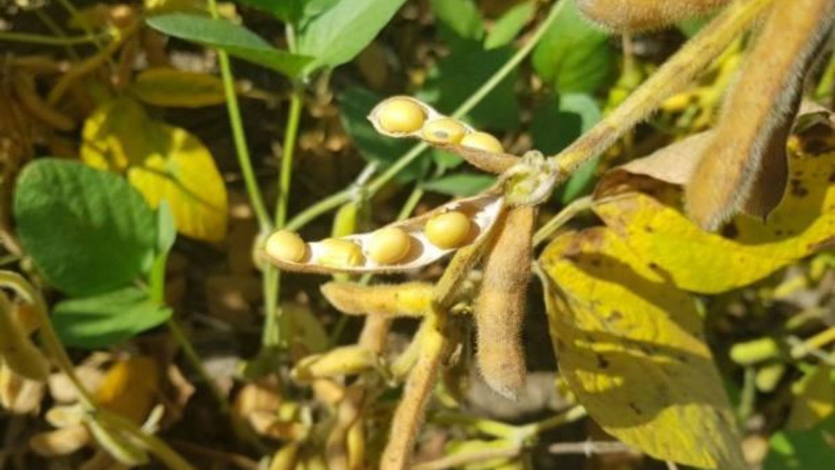 En el centro y sur provincial se completó en un 100%