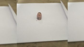 Alerta en un country de Santo Tomé por una bala perdida que perforó el techo de una casa