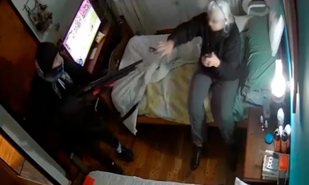 Violento robo a una jubilada en La Plata: la golpearon y mataron a tiros a un perro Violento robo a una jubilada en La Plata: la golpearon y mataron a tiros a un perro