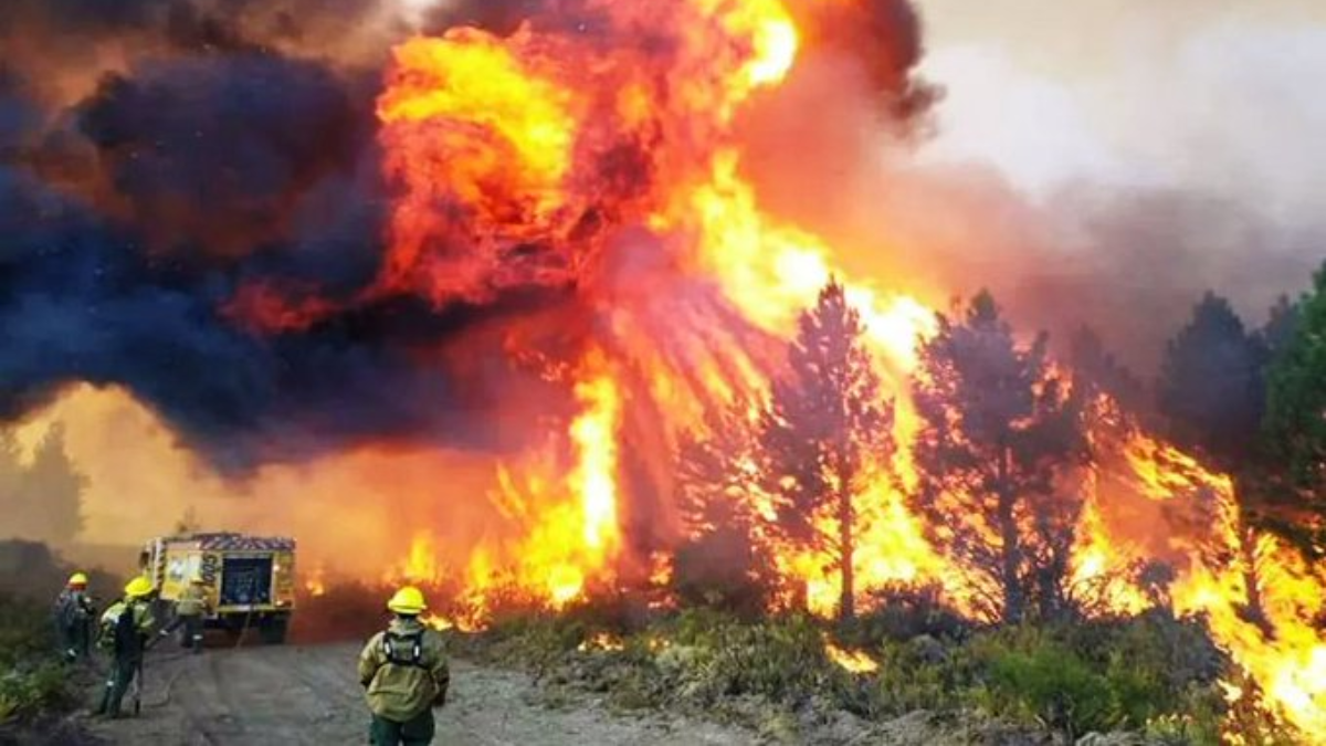 Las llamas alcanzaron zonas pobladas y se debieron evacuar 700 casas.
