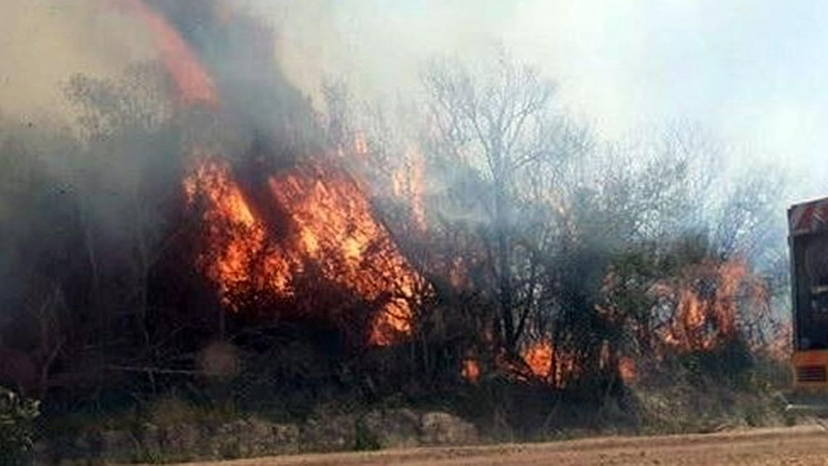 Consultada acerca del tiempo que se calcula que va a tardar la recuperación ecológica, afirmó que depende del ambiente, que los pastizales con las lluvias y el sol en un año puede llegar a recuperarse, porque eso crece rápido y es un suelo fértil, pero lo que es montes y bosques puede llegar a tardar mucho más porque son árboles viejos, que pueden llegar a tardar cinco o 10 años, depende de cada lugar.