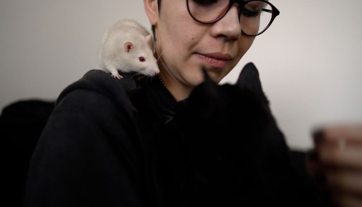 Salvó a 6 mil ratas en Buenos Aires, convive con 20 y un gatito: "Les doy besos"