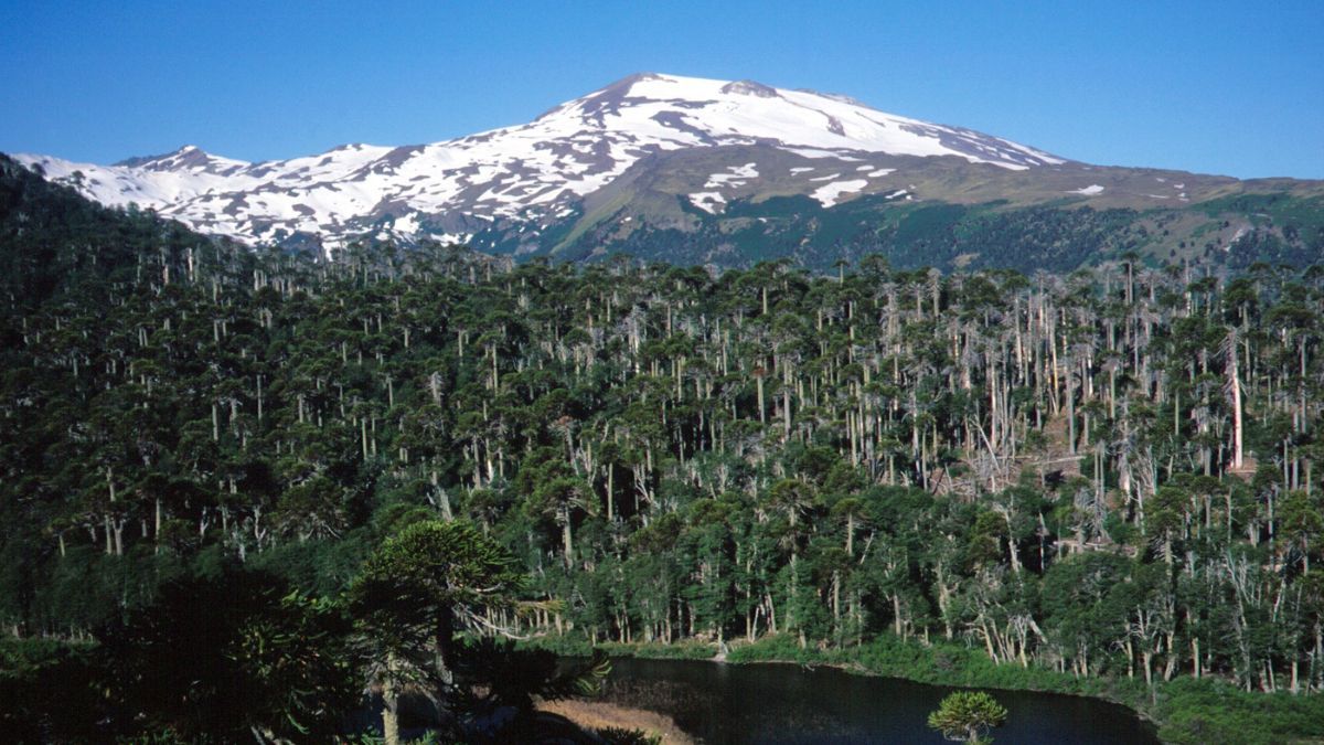 El pueblo mezcla aventura, gastronomía patagónica y paisajes que cambian según la temporada. El pueblo mezcla aventura, gastronomía patagónica y paisajes que cambian según la temporada.