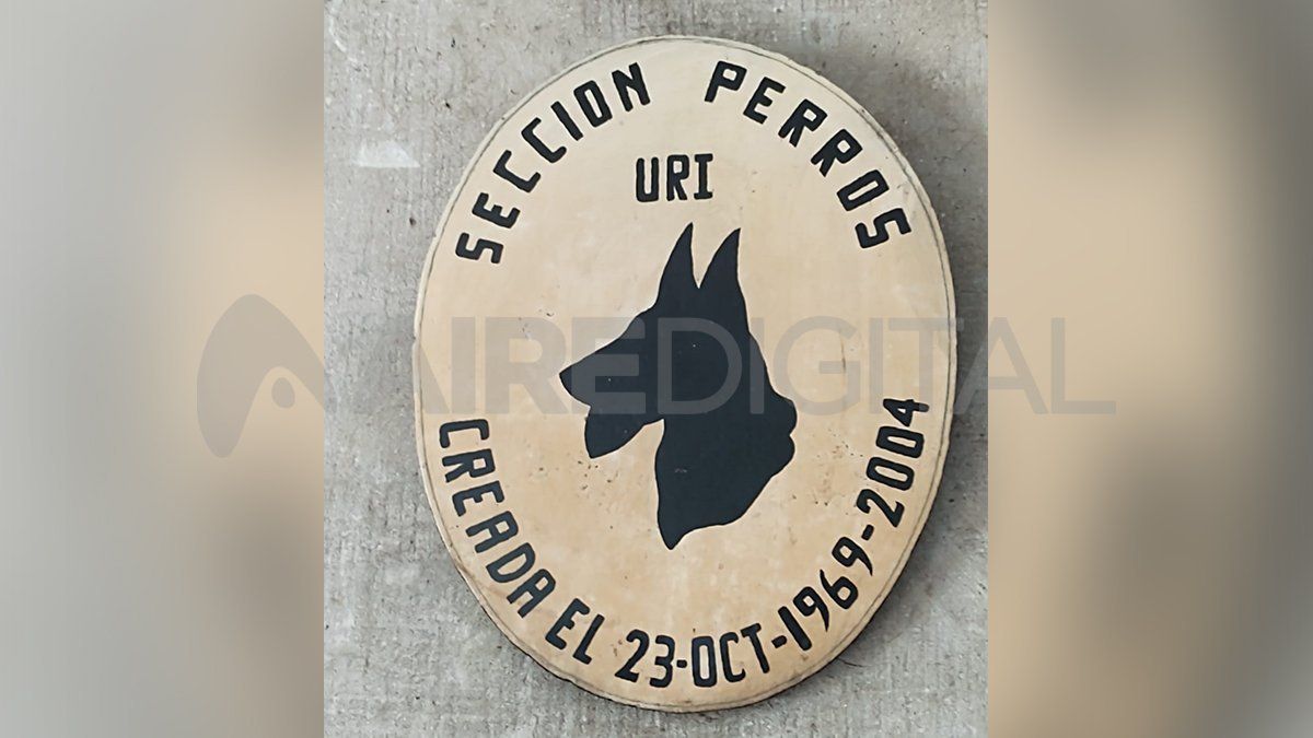 La Sección Perros de la Unidad Regonal I funciona desde el 23 de octubre de 1969. Hasta ahora no cuenta con un espacio adecuado para los animales. 