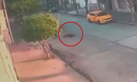 La mujer se bajaba de su auto Fiat Mobi de color rojo y fue atacada por una banda de ladrones. La mujer se bajaba de su auto Fiat Mobi de color rojo y fue atacada por una banda de ladrones.