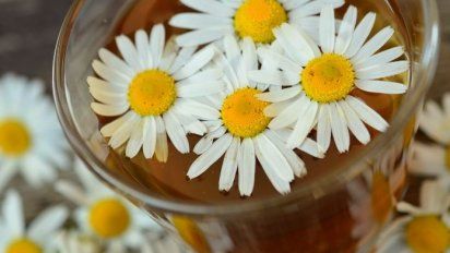 Té de manzanilla para adelgazar rápido