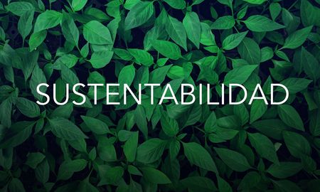 Tener un hogar sustentable es mas fácil de lo que creemos. Tener un hogar sustentable es mas fácil de lo que creemos.