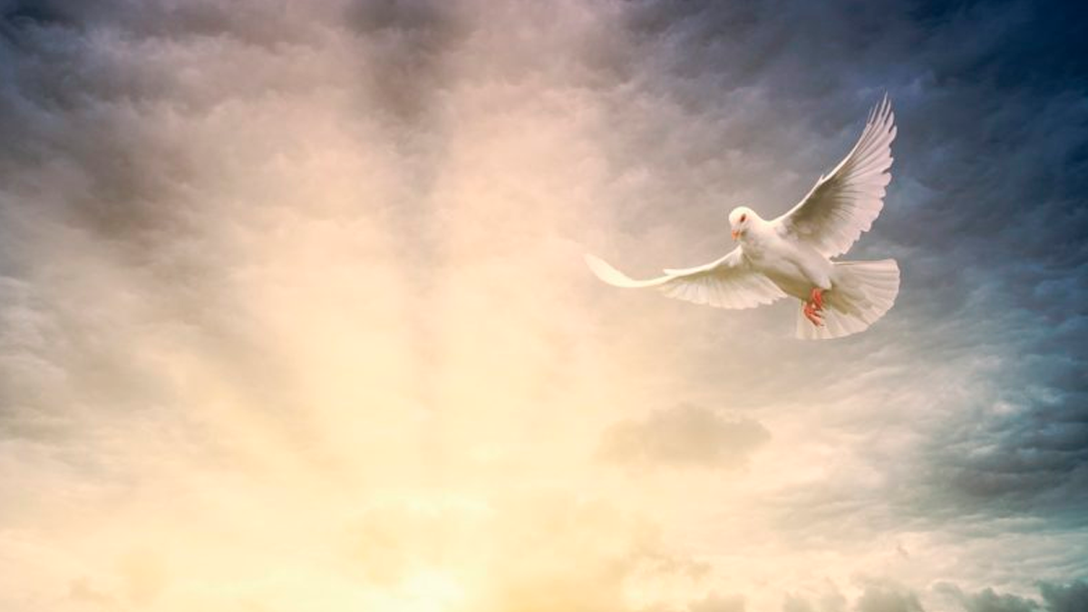 La armonía que junta a los miembros con la cabeza en el que cada uno encuentra el misterioso significado de su bendita existencia y alegremente ondea hacia delante libremente disuelto en tu ondear:&nbsp;¡Espíritu Santo