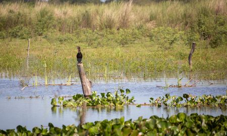 Jaaukanigás es un Sitio Ramsar a orillas del río Paraná con gran biodiversidad en aves, flora autóctona y fauna en peligro de extinción. Jaaukanigás es un Sitio Ramsar a orillas del río Paraná con gran biodiversidad en aves, flora autóctona y fauna en peligro de extinción.