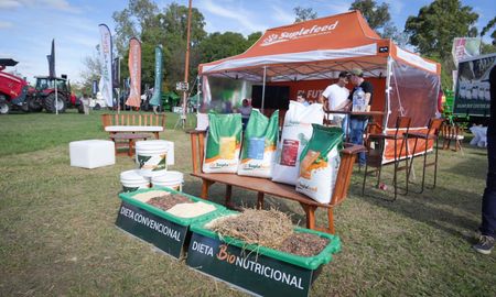 Con un stand en la TodoLáctea, Suplefeed dio a conocer sus productos innovadores para la industria. Con un stand en la TodoLáctea, Suplefeed dio a conocer sus productos innovadores para la industria.