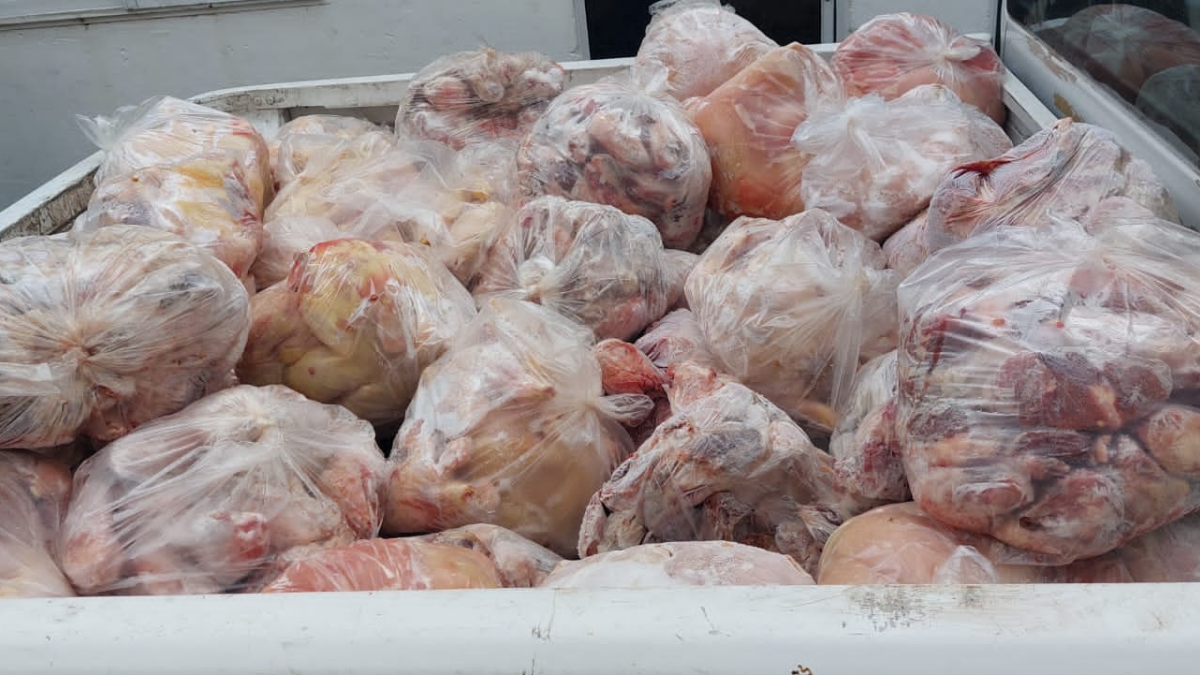 El municipio secuestró 1680 kilos de carne en un frigorífico que funcionaba irregularmente en un domicilio de barrio Scheneider. El municipio secuestró 1680 kilos de carne en un frigorífico que funcionaba irregularmente en un domicilio de barrio Scheneider.