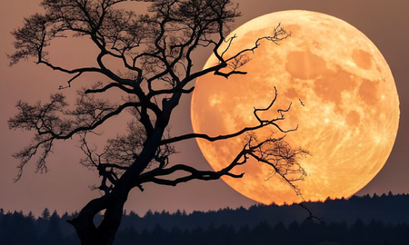 El cielo de octubre traerá una sorpresa para los amantes de la Luna. El cielo de octubre traerá una sorpresa para los amantes de la Luna.