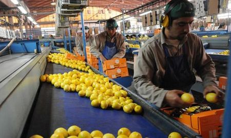 Argentina abre el mercado de Ecuador para la exportación de limones, cítricos dulces y carne con hueso. Argentina abre el mercado de Ecuador para la exportación de limones, cítricos dulces y carne con hueso.