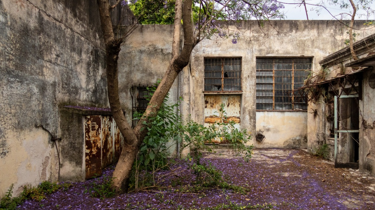 Patio de la casa donde naci&oacute; Mar&iacute;a Elena Walsh y permaneci&oacute; hasta los 10 a&ntilde;os.&nbsp;