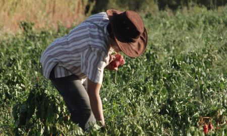La agroecología es una disciplina que propone la producción de alimentos sin agroquímicos ni semillas transgénicas. La agroecología es una disciplina que propone la producción de alimentos sin agroquímicos ni semillas transgénicas.