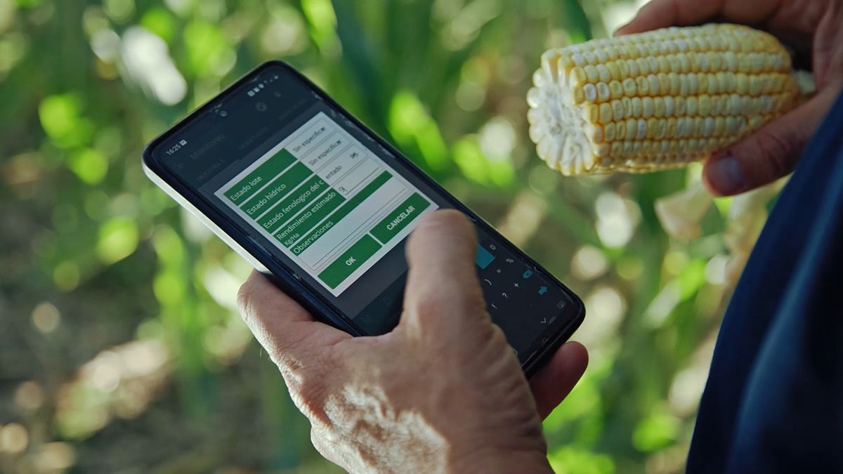 SIMA es un software para productores agrícolas que ayuda a digitalizar datos y permite controlar los cultivos desde un smartphone. SIMA es un software para productores agrícolas que ayuda a digitalizar datos y permite controlar los cultivos desde un smartphone.