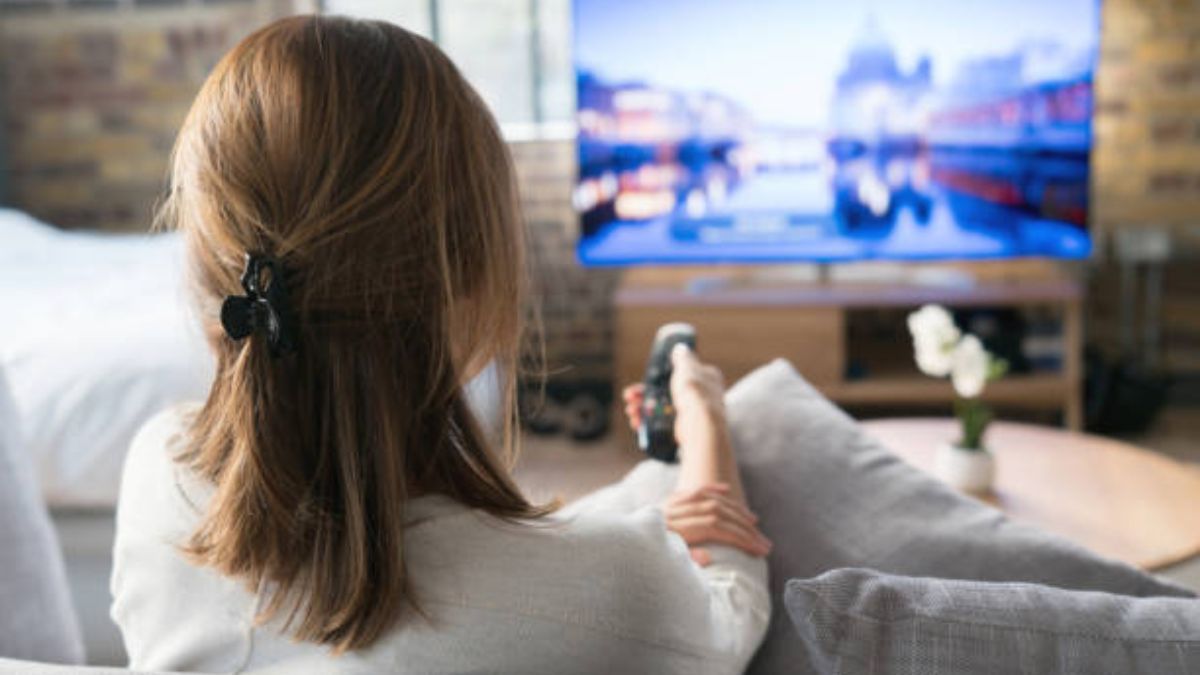 Las mejores opciones para ver en streaming.