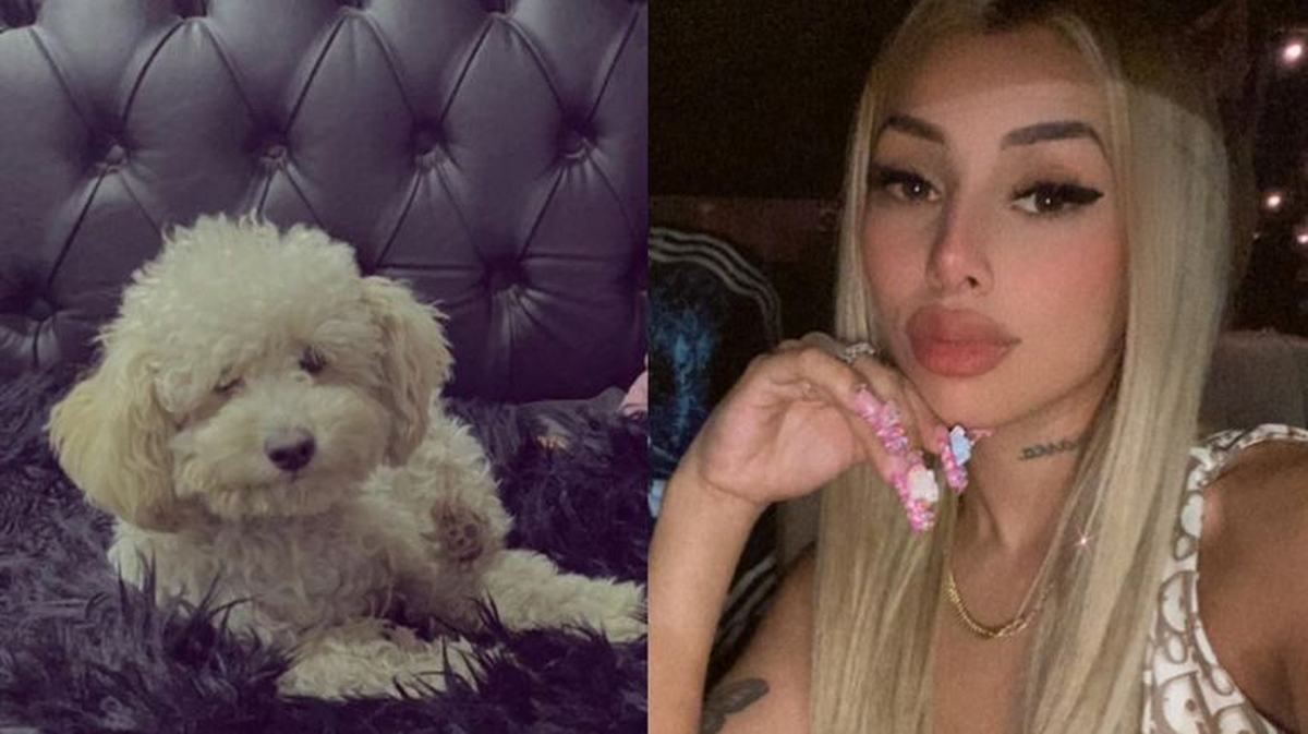 Tamara Báez denuncia la desaparición de su mascota