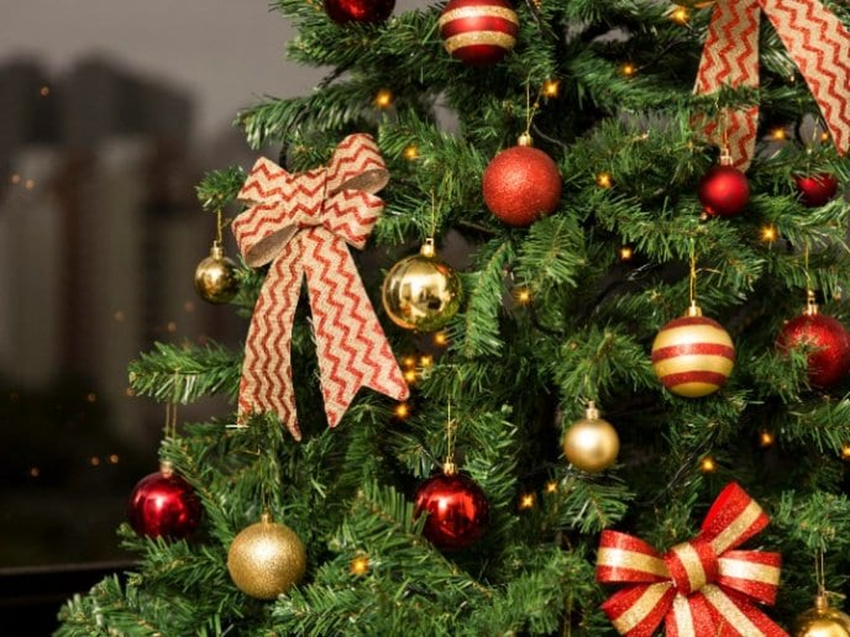 El 8 de diciembre es feriado. El 8 de diciembre es feriado.