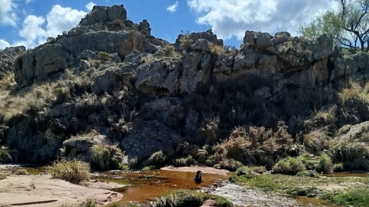 Senderos rodeados de vegetación autóctona permiten explorar la Reserva Cerro Blanco en Córdoba.