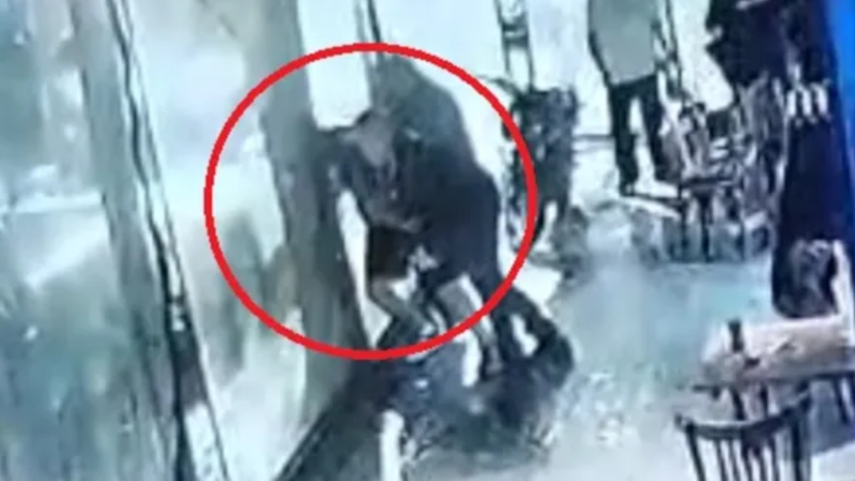 El abuelo que festejaba un nacimiento y murió tras un ataque de patovicas.