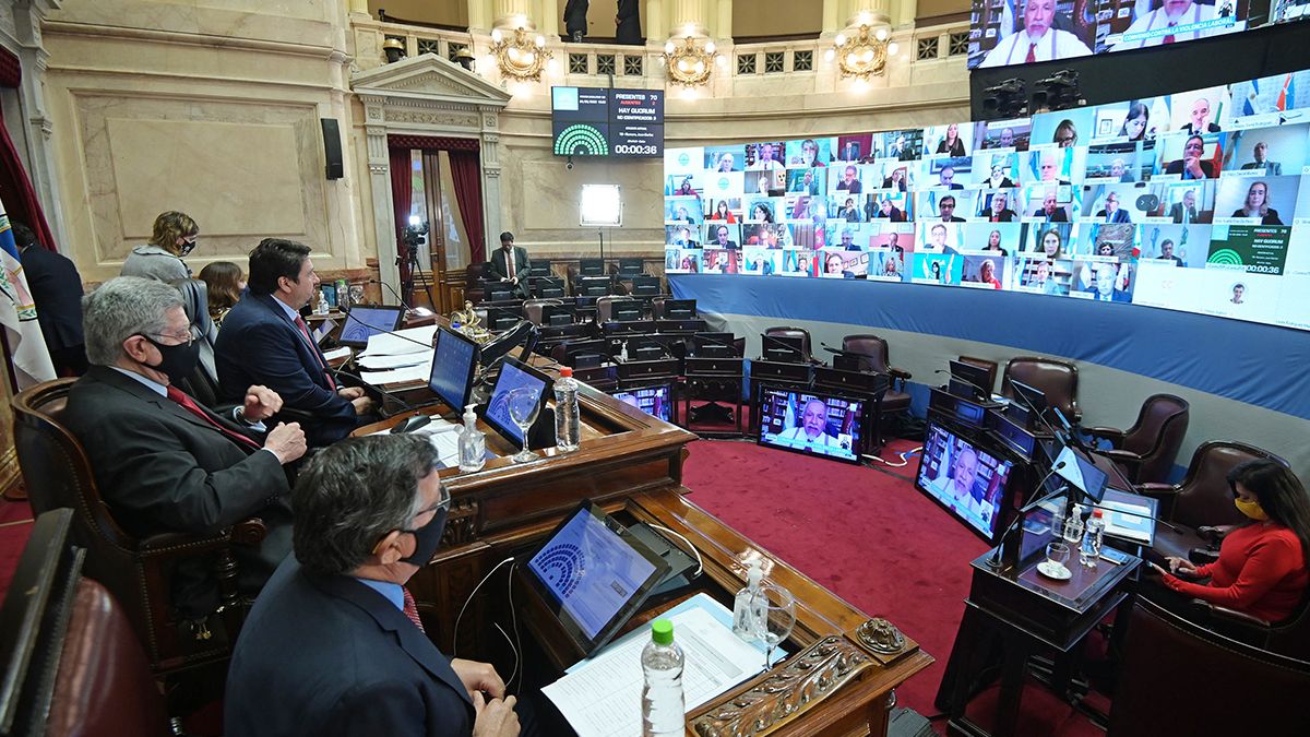 Sesión remota en el recinto del Senado de la Nación