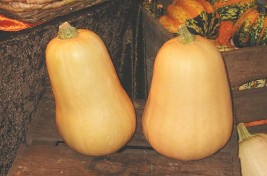 3 deliciosas recetas con calabaza