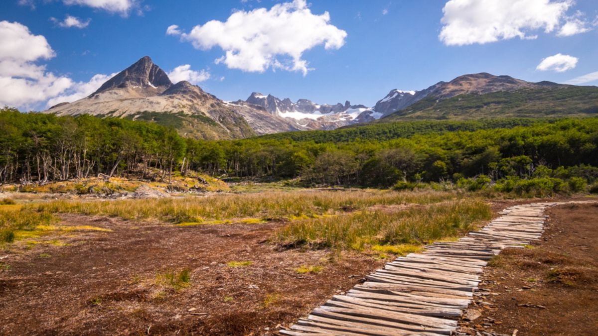 El treeking de la Laguna Esmeralda tiene caminos y puentes de madera que ayudan a recorrer este maravilloso sitio. El treeking de la Laguna Esmeralda tiene caminos y puentes de madera que ayudan a recorrer este maravilloso sitio.