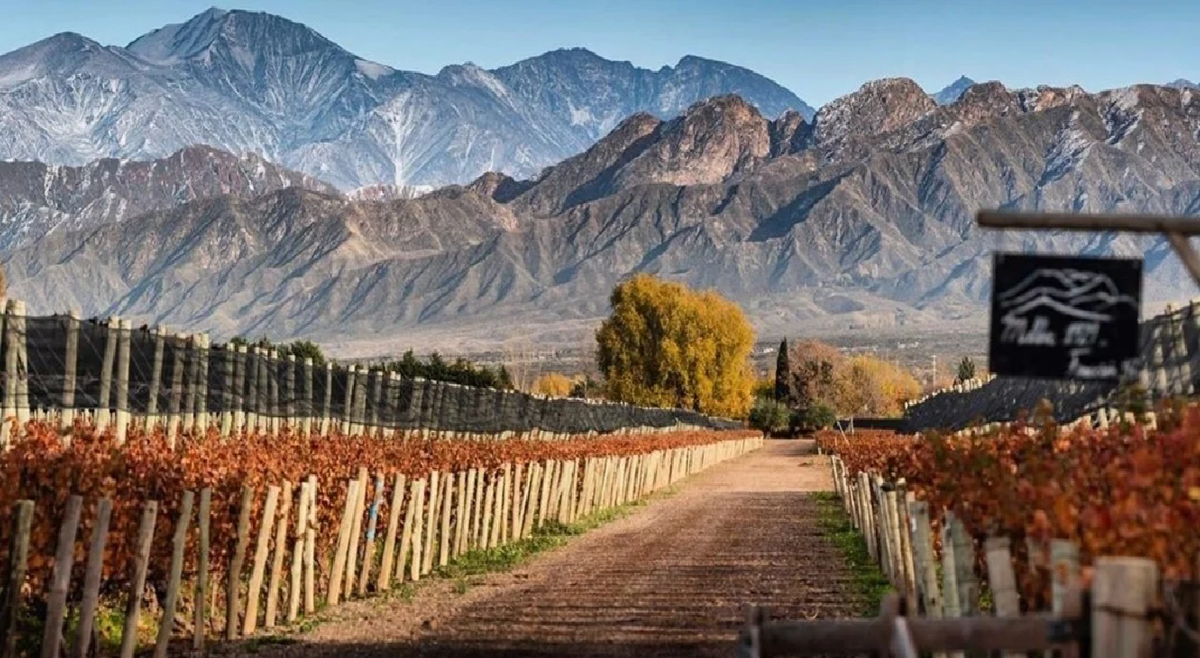 Mendoza