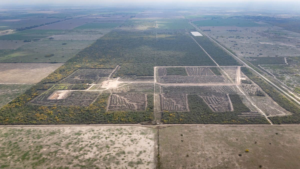 La imagen desde el drone de AIRE de las 47 hectáreas de bosque nativo arrasadas, en un daño al medio ambiente que tardará décadas en repararse en Logroño, provincia de Santa Fe.