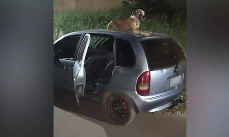 Fue a una fiesta, le robaron el auto y lo encontró días después con una sorpresa que no esperaba: Me cambió la vida Fue a una fiesta, le robaron el auto y lo encontró días después con una sorpresa que no esperaba: Me cambió la vida