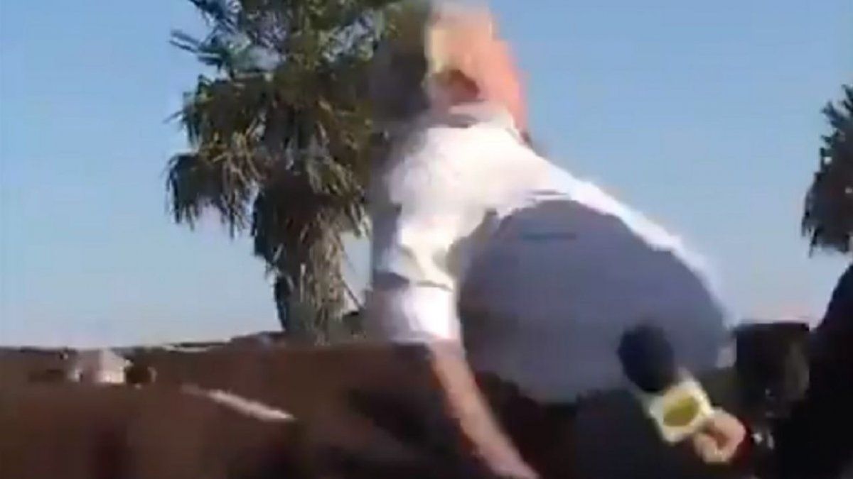 Veterinario fue embestido por un animal en plena entrevista