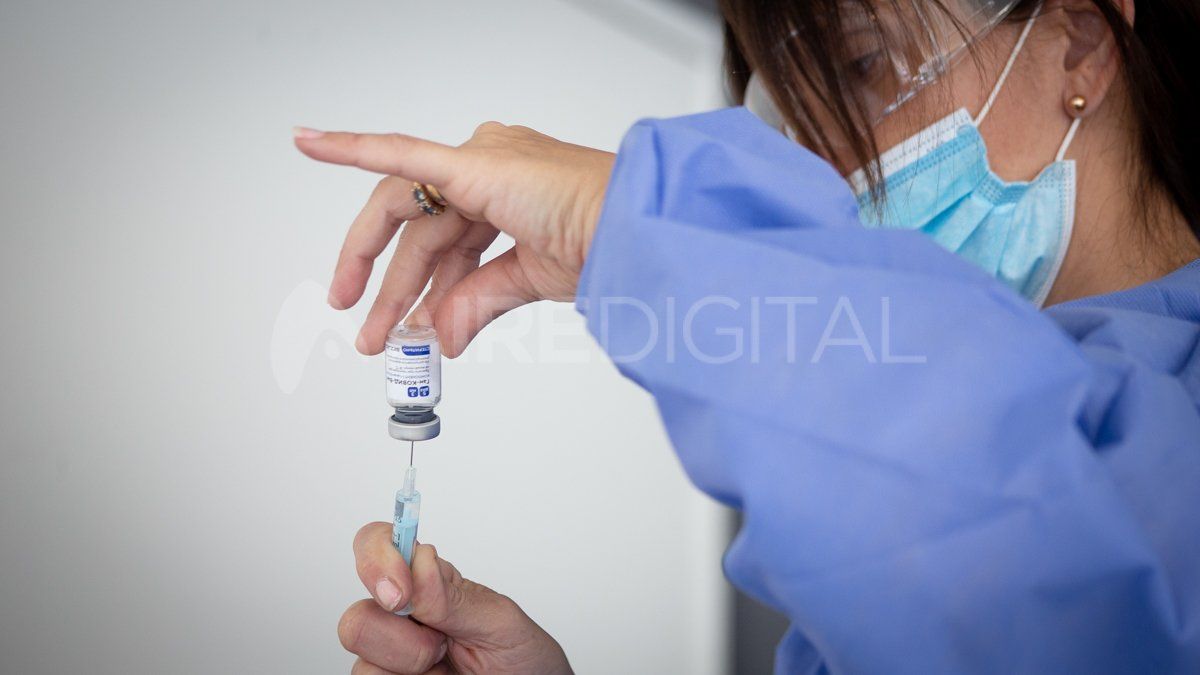 La infección previa con covid genera memoria inmunológica