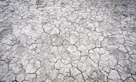 Santa Lucía, departamento Vera, provincia de Santa Fe. Así están los suelos después de tres años de sequía y escasez de lluvias. Santa Lucía, departamento Vera, provincia de Santa Fe. Así están los suelos después de tres años de sequía y escasez de lluvias.