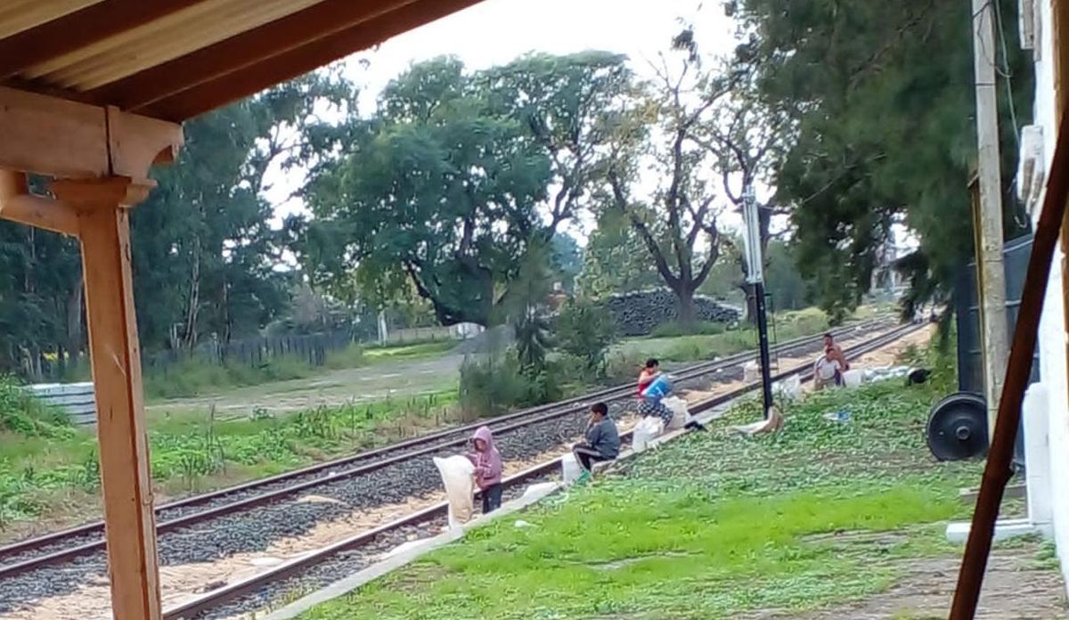 La denuncia fue radicada por el representante del ferrocarril Belgrano Cargas.