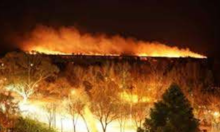 En las provincias de Santa Fe y Entre Ríos, los incendios se volvieron a activar en la zona de las Islas del Delta del Paraná. En las provincias de Santa Fe y Entre Ríos, los incendios se volvieron a activar en la zona de las Islas del Delta del Paraná.