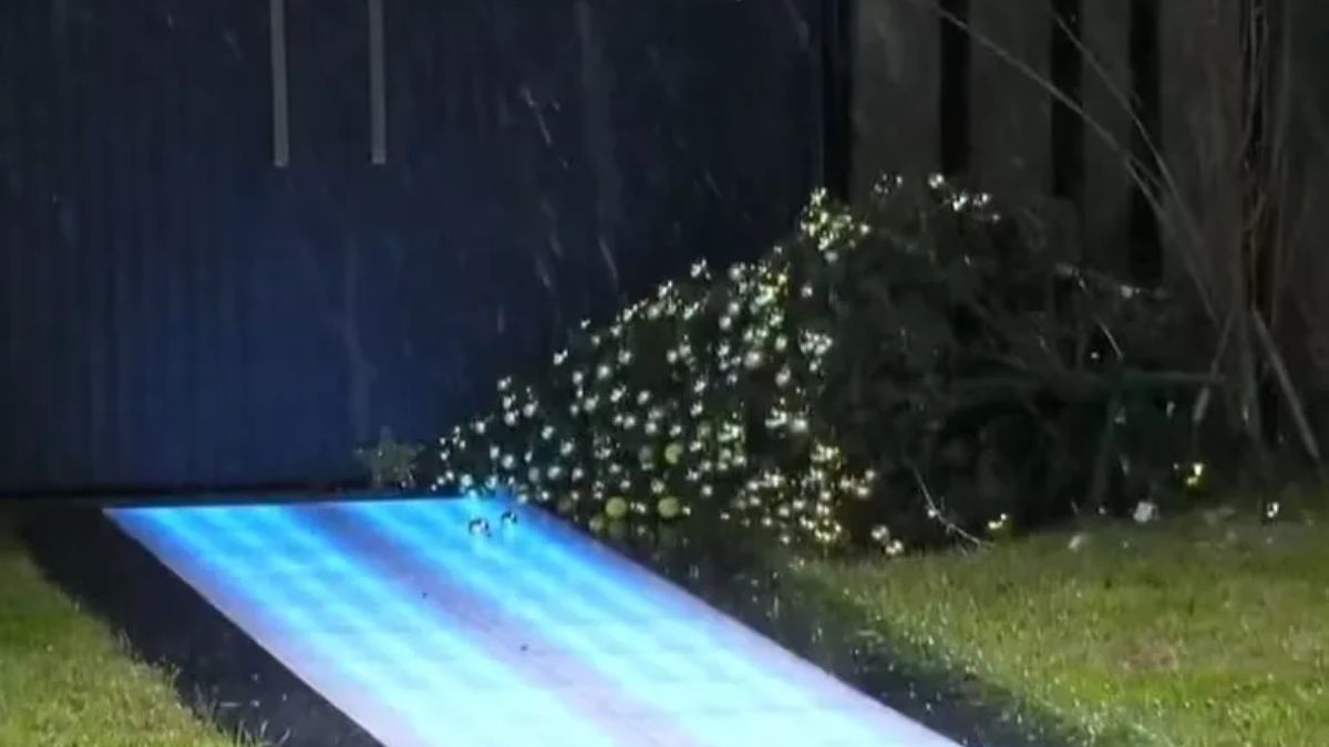 Algunos elementos del exterior, como el árbol de Navidad, se dañaron tras el temporal en AMBA. Algunos elementos del exterior, como el árbol de Navidad, se dañaron tras el temporal en AMBA.