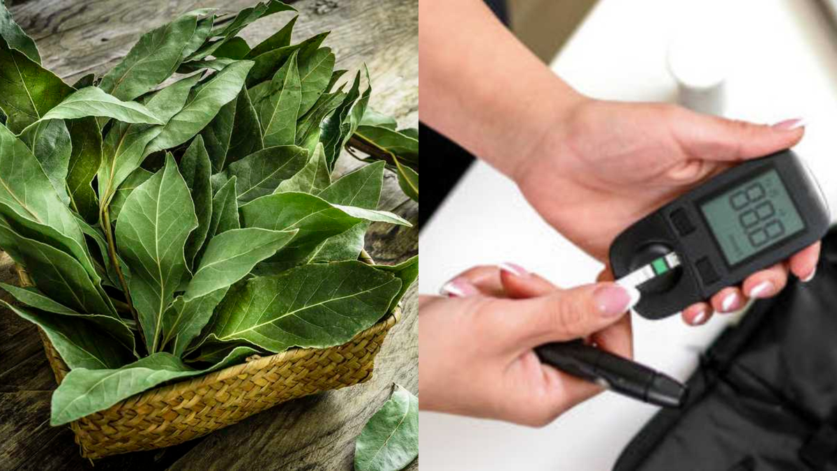 Reducir los niveles de azúcar en la sangre de manera natural es crucial para el manejo de la diabetes. Reducir los niveles de azúcar en la sangre de manera natural es crucial para el manejo de la diabetes.